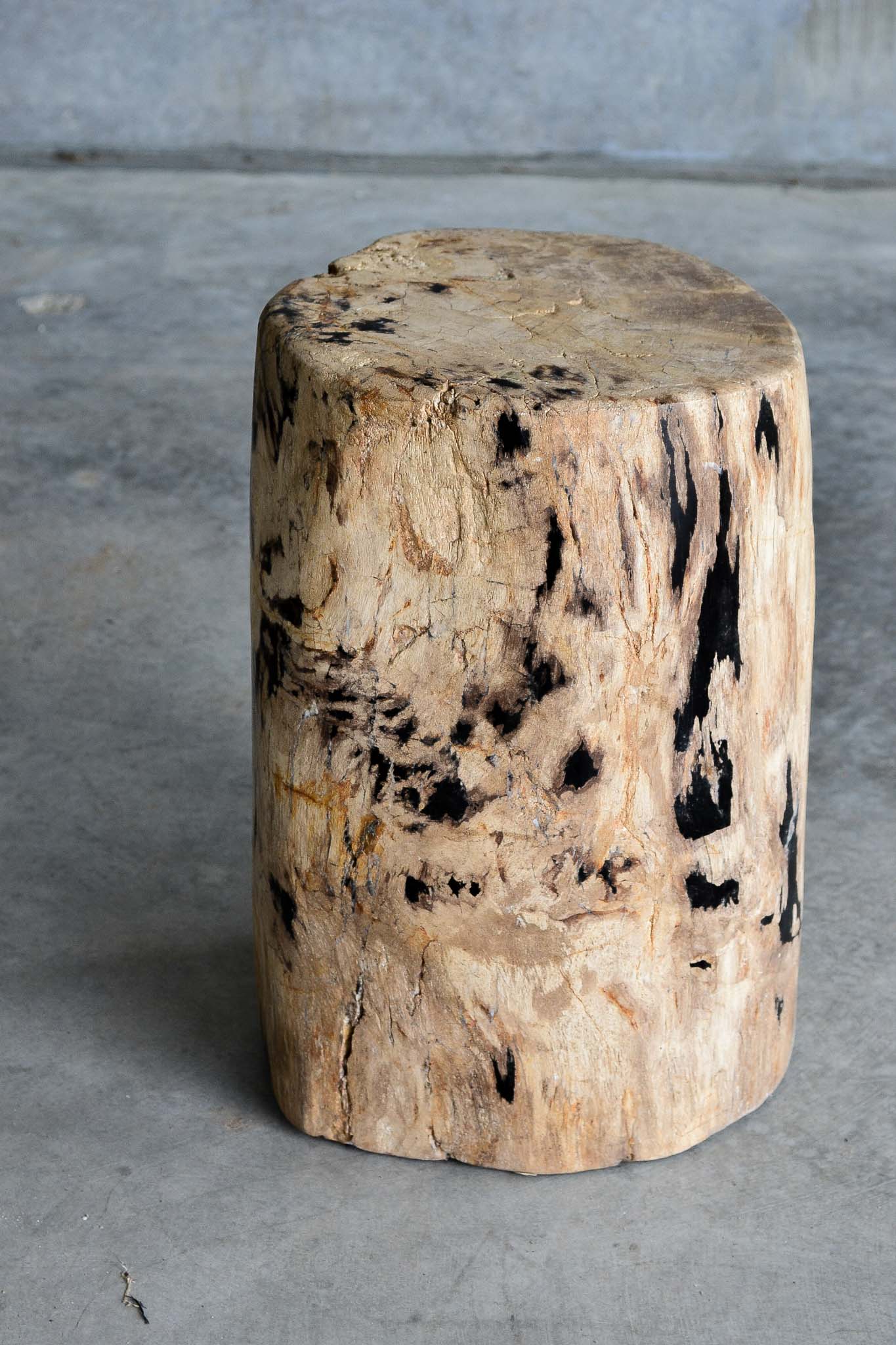 Petrified Wood Stool - Natural