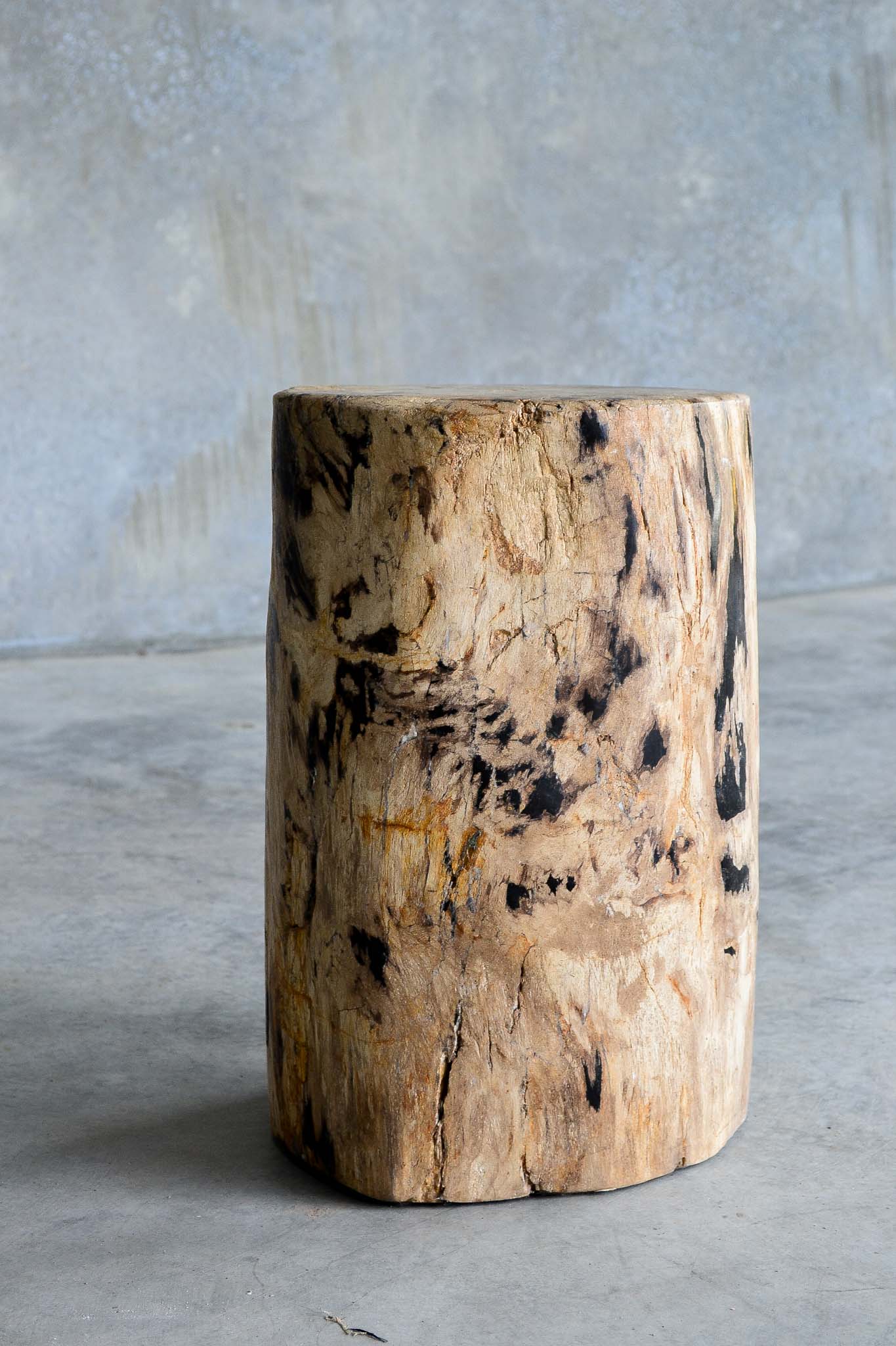 Petrified Wood Stool - Natural