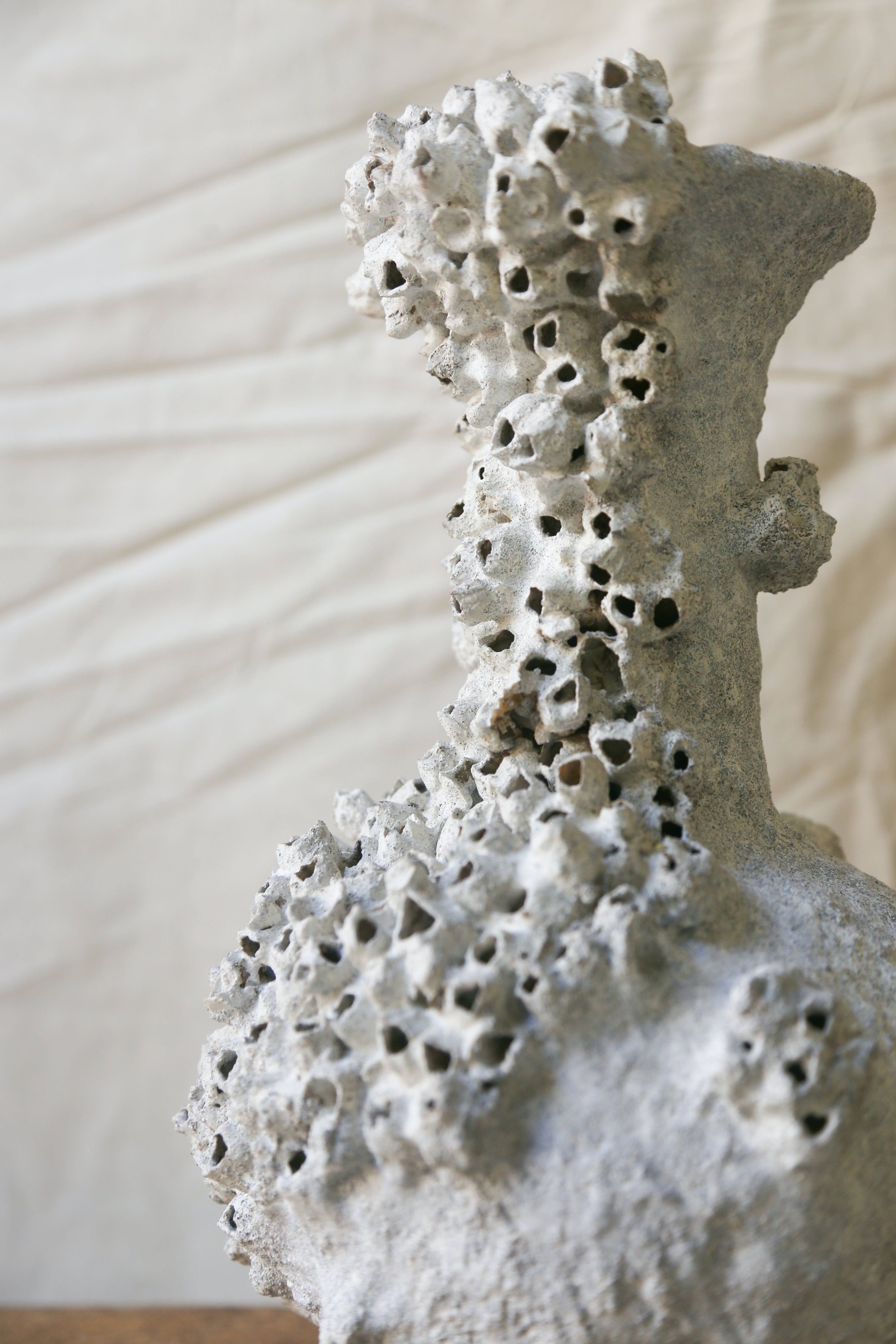 Barnacle Vase One