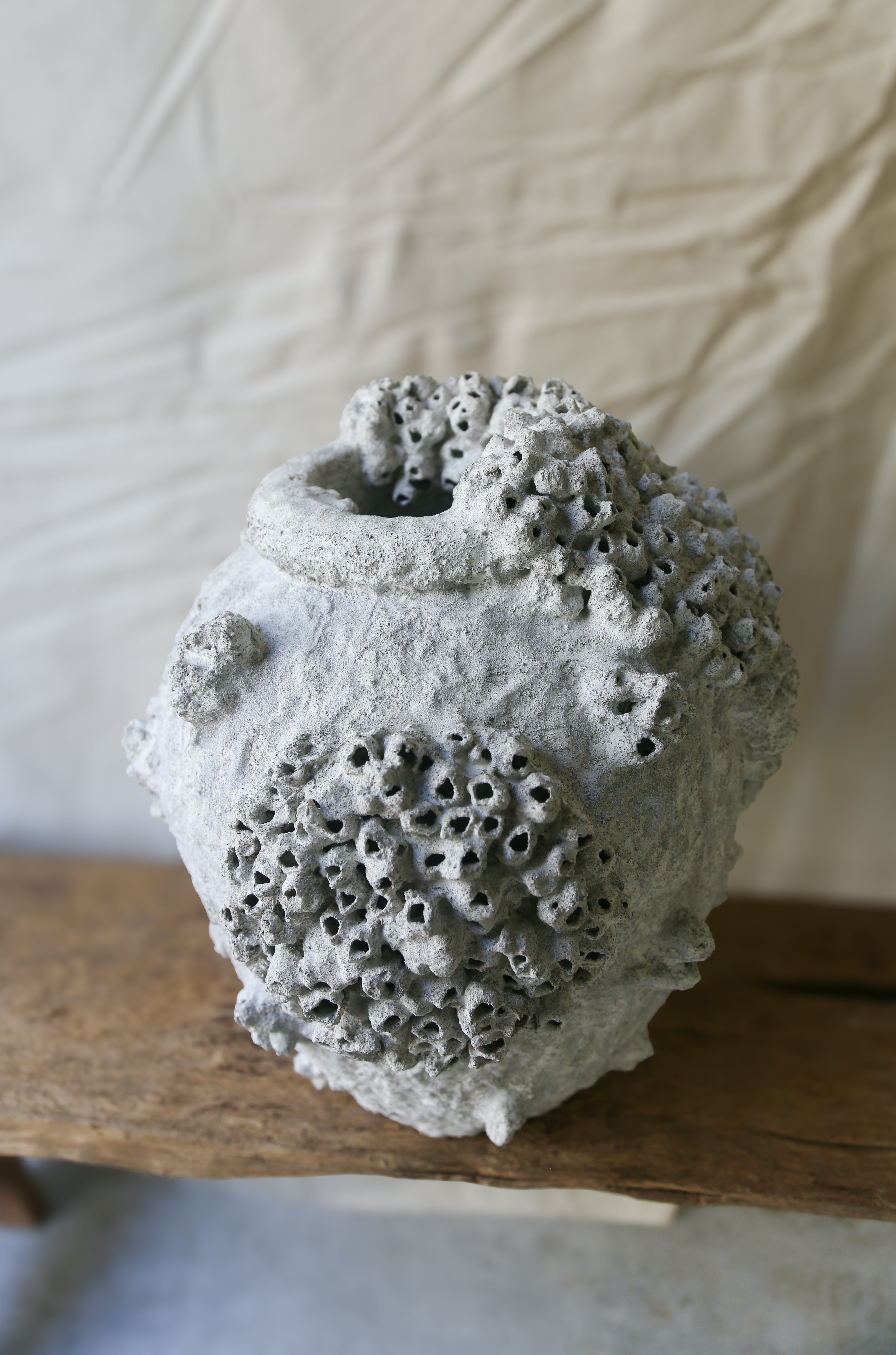 Barnacle Pot Three