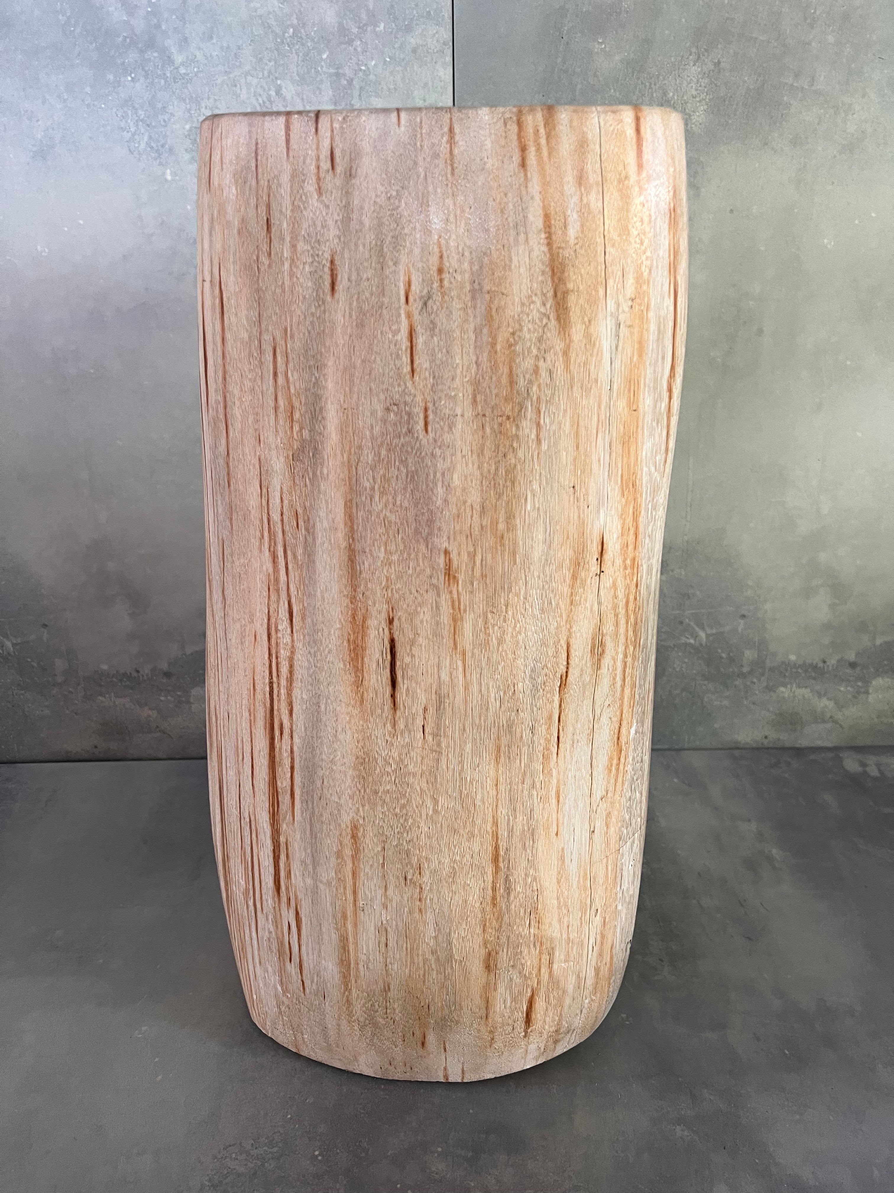 Petrified Wood - Natural