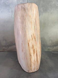 Petrified Wood - Natural