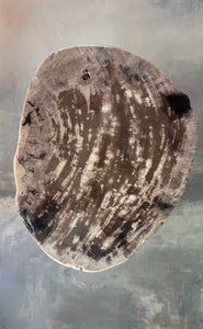 Petrified Wood Stool - Grey